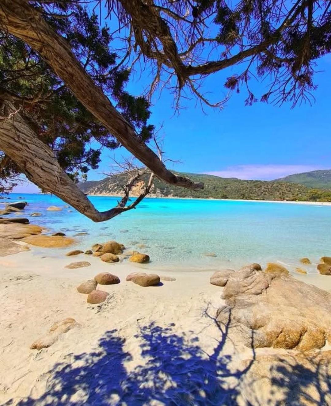 Sun & Beach House Costa Rei Εξωτερικό φωτογραφία